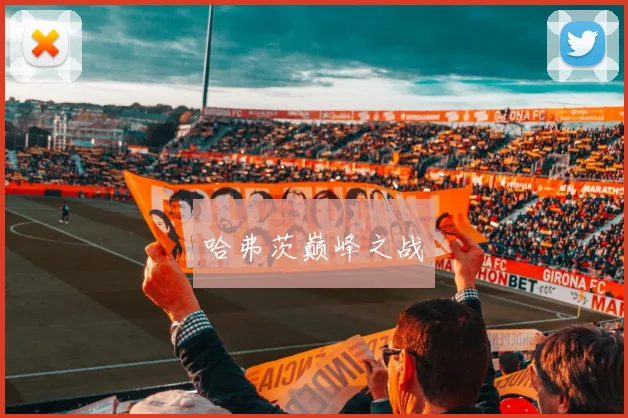 哈弗茨巅峰之战