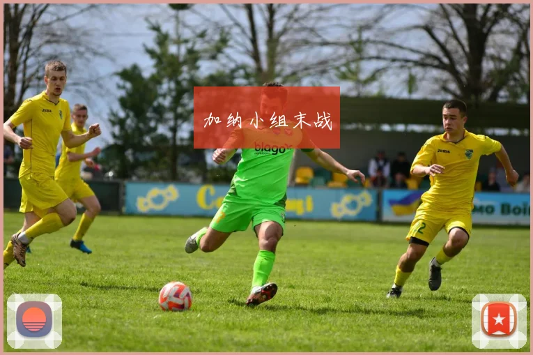 加纳小组末战