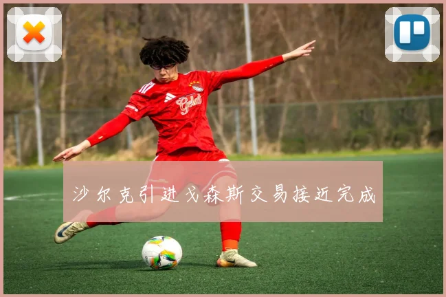 沙尔克引进戈森斯交易接近完成