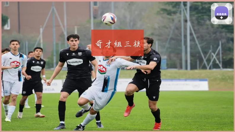 奇才组三核
